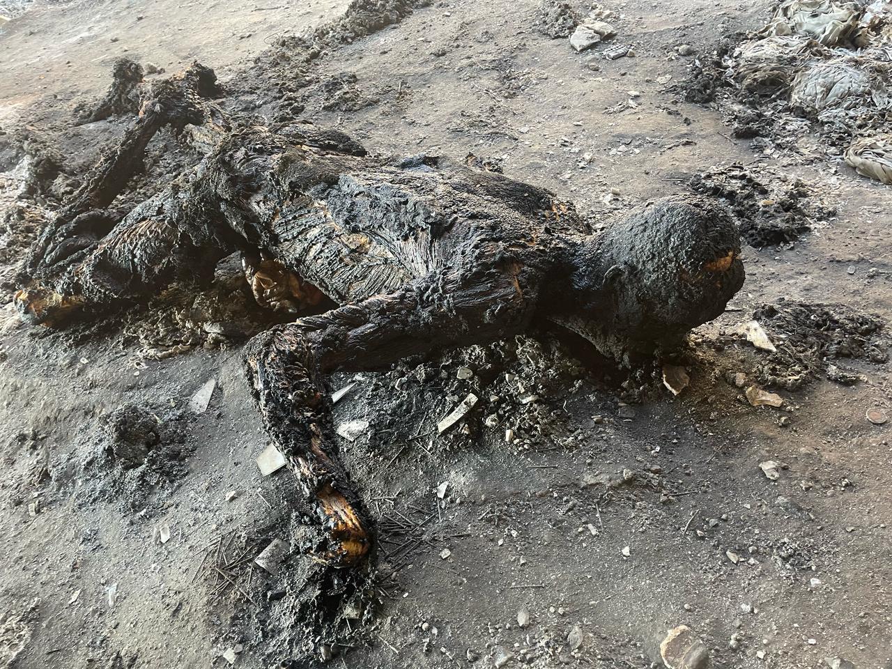 LOCALIZAN UN CUERPO CALCINADO EN FINCA ABANDONADA, LEÓN GTO.