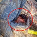 Suman 12 los cuerpos localizados en zona cerril de León; hallan restos desmembrados este jueves
