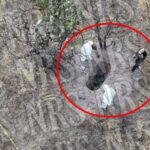 Encuentran a hombre asesinado en Paseos de la Joya; ya suman seis víctimas de violencia en León en lo que va de mayo
