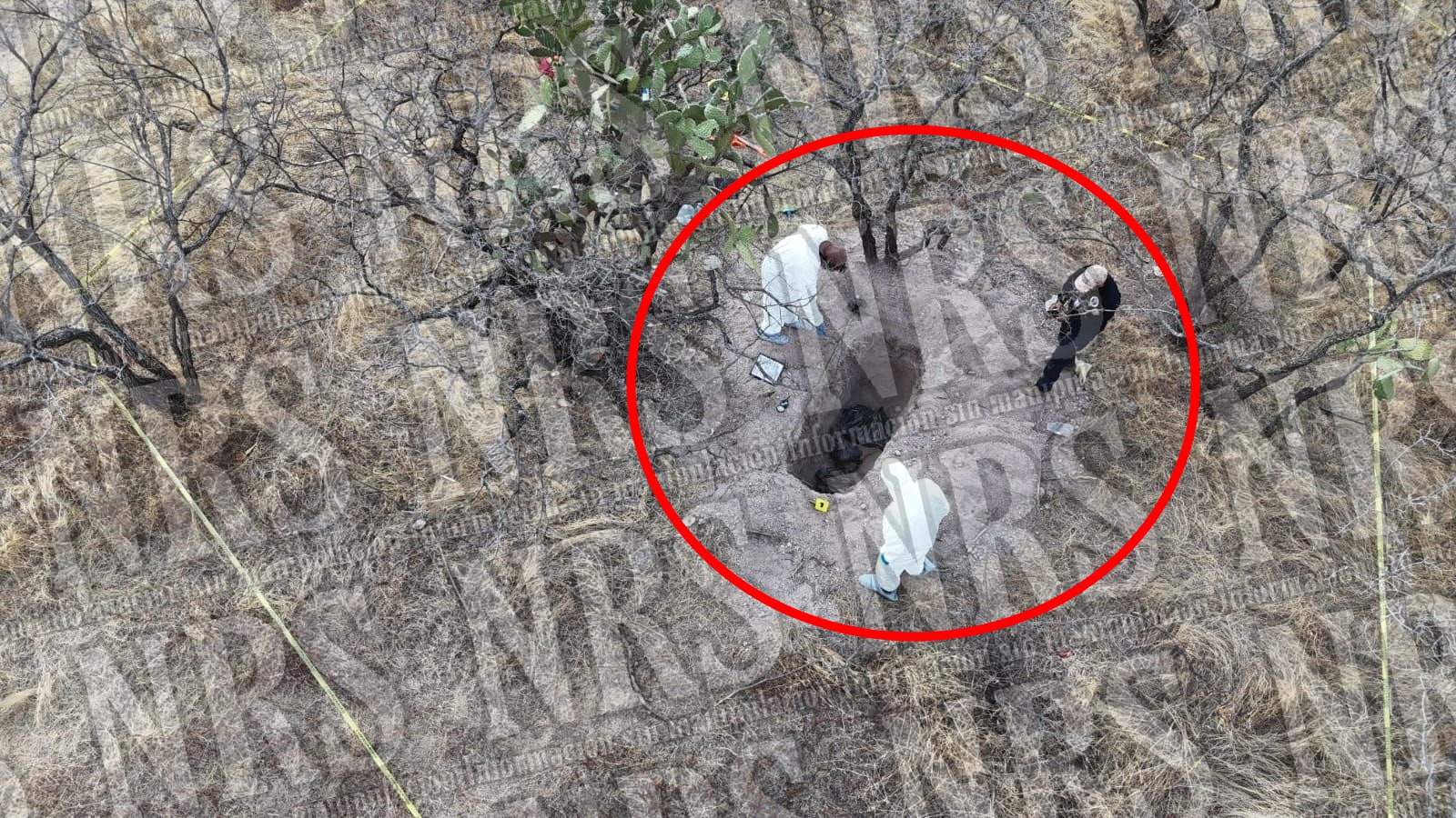 Suman 12 los cuerpos localizados en zona cerril de León; hallan restos desmembrados este jueves