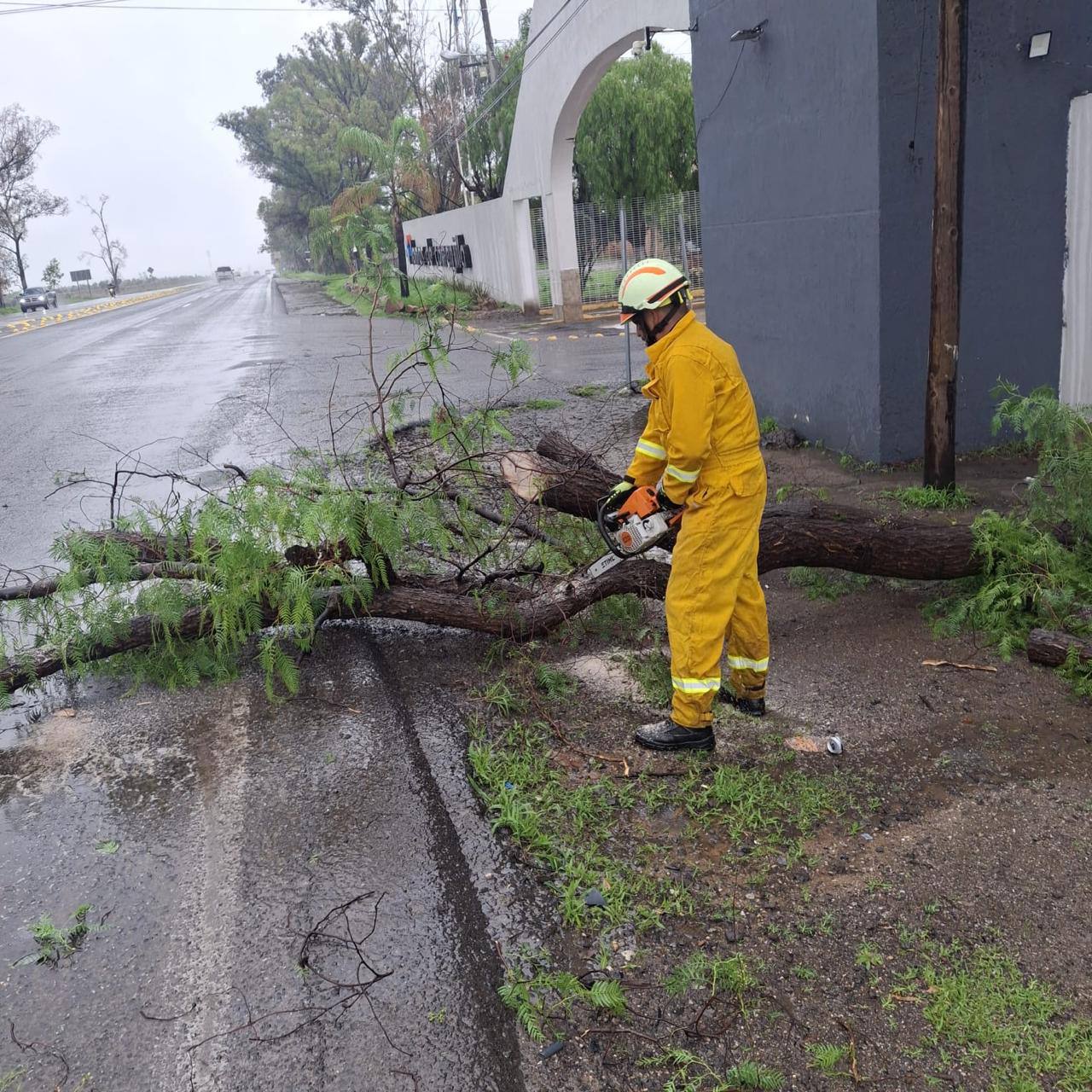 🌀 LLUVIAS EN LEÓN ROMPEN RÉCORD: MÁS DE 600% DE AUMENTO RESPECTO A 2024
