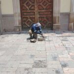 FESTIVAL DE VERANO VIVE LEÓN 2025 ALCANZA MÁS DE 600 MIL VISITANTES EN SOLO 9 DÍAS