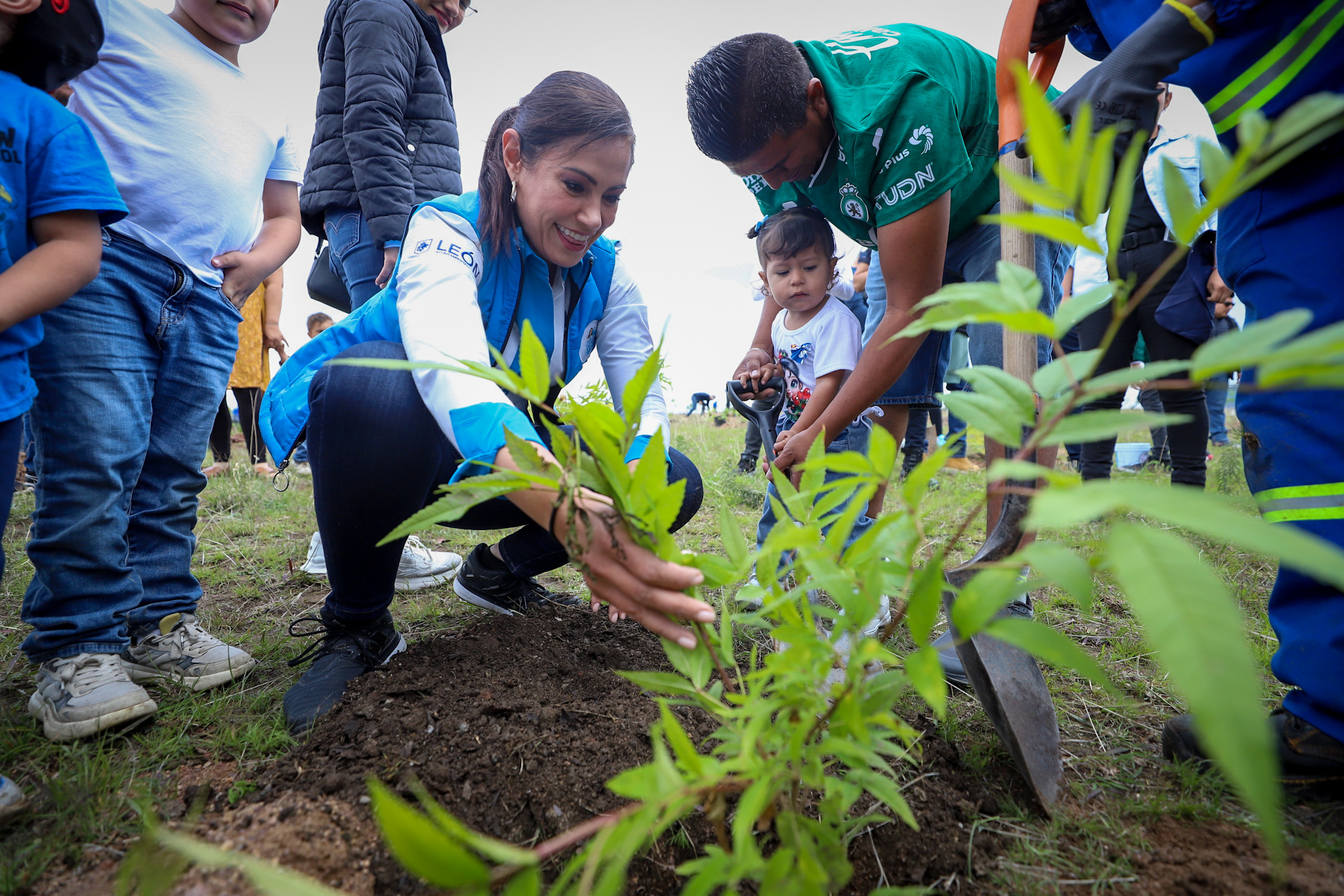 DAN VIDA A LEÓN CON MÁS DE 3 MIL ÁRBOLES EN LA SIERRA DE LOBOS 🌲🌱🌿