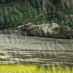 MÁS HOGARES, MÁS SEGUNDAS OPORTUNIDADES CON  ‘PATITAS EN EL SIT’