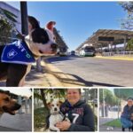 “Después de la lluvia, apareció el horror”: hallan cuerpo envuelto en cobija en la colonia Candelaria