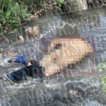 Dos personas arrolladas por el tren en León; un hombre murió y una mujer resultó gravemente herida