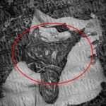 HALLAN CUERPO SIN VIDA EN EL RÍO MARICHES, COLONIA PILETAS IV