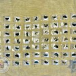 EN LEÓN, LOS PARQUES SE LLENAN DE BICICLETAS, APRENDIZAJE Y DIVERSIÓN