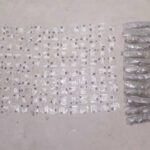 Defensa Nacional Refuerza Seguridad en Guanajuato con Despliegue de Elementos Élite 🦇