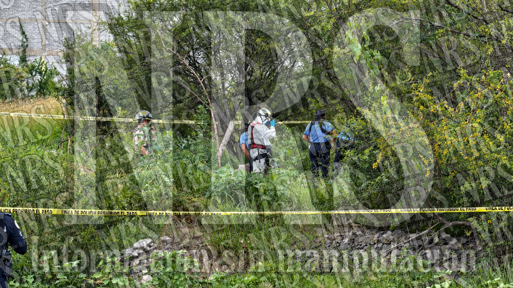 LOCALIZAN A MUJER DECAPITADA DENTRO DE UN POZO EN LEÓN….